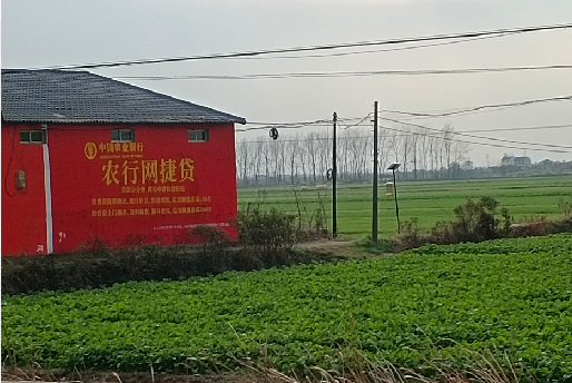 桃园如何防止墙体广告褪色呢？