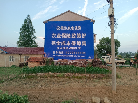 桃园墙体广告的优劣势你知道吗？